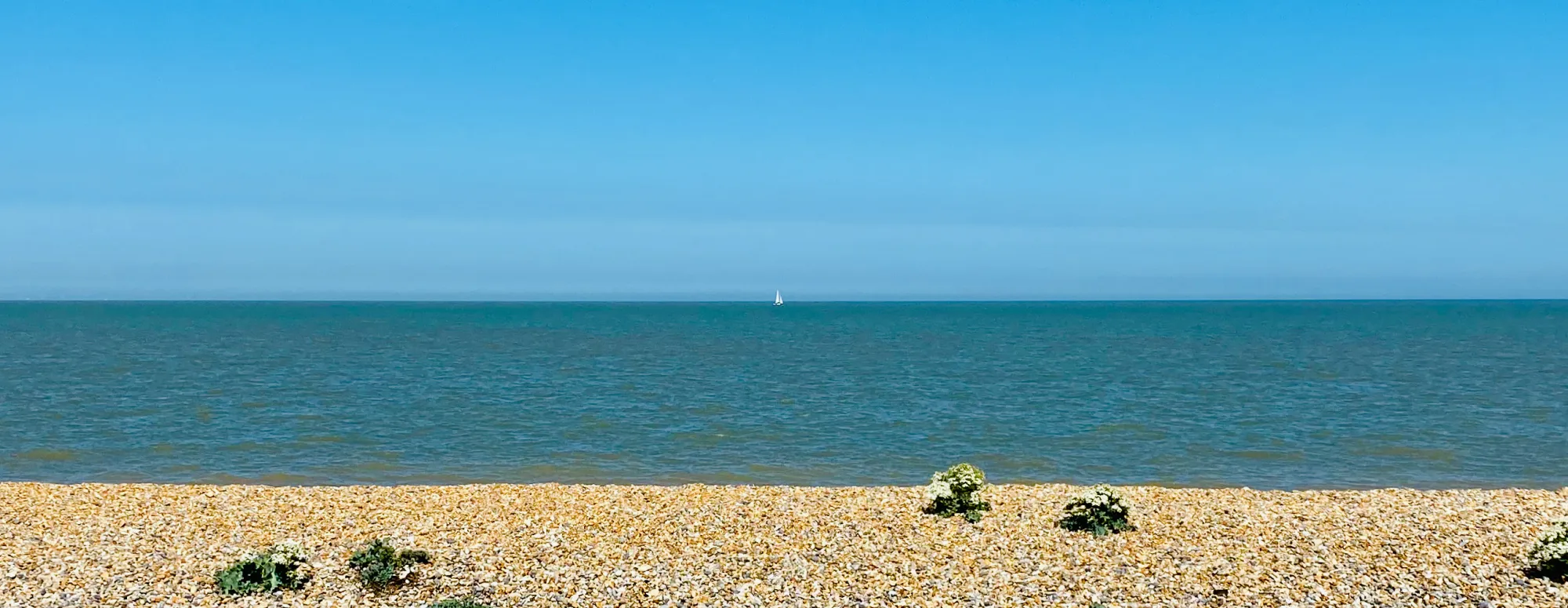 Sea shore with yacht in the distance